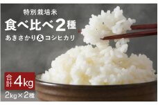 【先行予約】【令和7年産・新米】福井県坂井町産 特別栽培米2種食べ比べセット あきさかり・コシヒカリ各2kg（計4kg）(玄米) 【2025年9月下旬以降順次発送予定】 【お米 こめ コメ 米 食べ比べ こしひかり おいしい ごはん ご飯 ブランド米 ふるさと納税米 産地直送】 [A-4838_02]