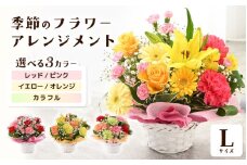 選べるカラー 季節のフラワーアレンジメント L (レッド・ピンク) 【お花 フラワー アレジメント 花束 ギフト 生花 プレゼント 花束 花 記念日 お祝い】 [B-20701_01] 