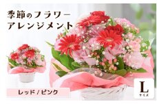選べるカラー 季節のフラワーアレンジメント L (レッド・ピンク) 【お花 フラワー アレジメント 花束 ギフト 生花 プレゼント 花束 花 記念日 お祝い】 [B-20701_01] 