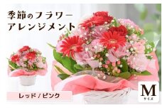 選べるカラー 季節のフラワーアレンジメント M (レッド・ピンク) 【お花 フラワー アレジメント 花束 ギフト 生花 プレゼント 花束 花 記念日 お祝い】 [A-20702_01] 