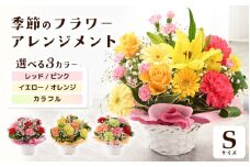 選べるカラー 季節のフラワーアレンジメント S (レッド・ピンク) 【お花 フラワー アレジメント 花束 ギフト 生花 プレゼント 花束 花 記念日 お祝い】 [A-20701_01] 
