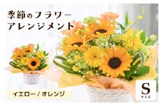 選べるカラー 季節のフラワーアレンジメント S (イエロー・オレンジ) 【お花 フラワー アレジメント 花束 ギフト 生花 プレゼント 花束 花 記念日 お祝い】 [A-20701_02] 