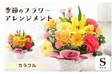 選べるカラー 季節のフラワーアレンジメント S (カラフル) 【お花 フラワー アレジメント 花束 ギフト 生花 プレゼント 花束 花 記念日 お祝い】 [A-20701_03] 