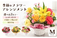 選べるカラー 季節のフラワーアレンジメント M (イエロー・オレンジ) 【お花 フラワー アレジメント 花束 ギフト 生花 プレゼント 花束 花 記念日 お祝い】 [A-20702_02] 