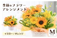選べるカラー 季節のフラワーアレンジメント M (イエロー・オレンジ) 【お花 フラワー アレジメント 花束 ギフト 生花 プレゼント 花束 花 記念日 お祝い】 [A-20702_02] 