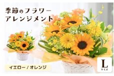 選べるカラー 季節のフラワーアレンジメント L (イエロー・オレンジ) 【お花 フラワー アレジメント 花束 ギフト 生花 プレゼント 花束 花 記念日 お祝い】 [B-20701_02] 