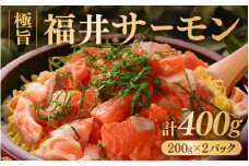 極旨！福井サーモン 計400g（200g × 2パック）【サーモン 鮭 刺身 さけ サケ さかな 魚 人気 海鮮 海鮮食品 小分け お刺身用 生食用 生食可 低脂肪 低カロリー ヘルシー 冷凍 国産】 [A-5830]