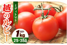 【先行予約】 越のルビー (ミディトマト) 約1kg (25～35個程度) 糖度8度 三里浜砂丘地産 甘くておいしい中玉トマト 【2025年6月上旬以降順次発送予定】 【トマト とまと 中玉とまと リコピン ブランド 豊富 野菜 生野菜 甘い 高糖度 産地直送 国産】 [A-19204]