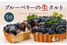 【先行予約】【数量限定】サクサク食感 ブルーベリーのフレッシュタルトケーキ 5号：直径15cm (4〜5人前) 850g 【2025年7月上旬以降順次発送】【ブルーベリー ケーキ 生タルト 果物 くだもの ホール たると スイーツ デザート ベリー フルーツケーキ 洋菓子 贈答 ギフト】 [A-5206]