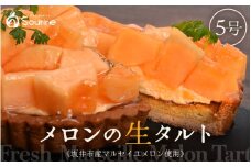 【数量限定】サクサク食感 マルセイユメロンのフレッシュタルトケーキ 5号：直径15cm (4〜5人前) 850g【メロン めろん ケーキ メロンケーキ ホール たると スイーツ デザート 果物 フルーツケーキ 洋菓子 贈答 ギフト】 [A-5205]
