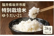 【令和6年産】 坂井市産 特別栽培米ゆうだい21 3kg 減農薬 減化学肥料 【お米 3キロ 特別栽培 ふるさと納税米 産地直送 福井県】 [A-4841]