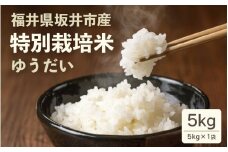 【令和6年産】 坂井市産 特別栽培米 ゆうだい 5kg 減農薬 減化学肥料 【お米 5キロ 特別栽培 ふるさと納税米 産地直送 福井県】 [A-4842]