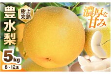 【先行予約】 豊水梨 1箱 5kg入り (8～12玉) 樹上完熟！濃厚な甘さに手が止まらない！甘～いゆみたかの豊水梨 【2025年8月中旬以降順次発送予定】【梨 和梨 赤梨 なし フルーツ 甘い みずみずしい 果実 果物 新鮮 旬の果物 産地直送】 [B-16202]