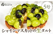 【数量限定】サクサク食感 シャインマスカットのフレッシュタルトケーキ 5号：直径15cm (4〜5人前) 850g 【シャインマスカット マスカット ますかっと ケーキ マスカットケーキ ホール たると スイーツ デザート 果物 フルーツケーキ 洋菓子 贈答 ギフト】 [A-5207]