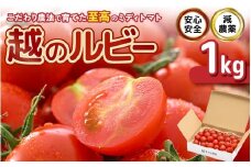 【先行予約】 安心安全！減農薬！こだわり農法で育てた至高のミディトマト 【越のルビー】 1kg (約25玉～40玉) 【2025年10月上旬以降順次発送予定】 【とまと ミディトマト 中玉トマト 野菜 やさい 新鮮 生食 サラダ 健康 産地直送 国産】 [A-21201]