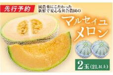 【先行予約】マルセイユメロン 2玉 (2L以上のサイズ) 糖度15度以上 減農薬にこだわった新鮮で安心な川合農園のメロン 【2026年6月中旬以降発送予定】【メロン めろん フルーツ 旬 デザート 果物 くだもの 果実 赤肉 糖度 甘い 国産】 [A-7505]