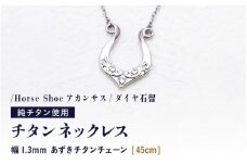 チタンネックレス/Horse Shoeアカンサス/ダイヤ石留 【チェーンの長さ：45cm】 幅1.3mmあずきチタンチェーン チタン製 日本製 【ネックレス チタンチェーン ダイヤモンド オールチタン 純チタン アクセサリー おしゃれ 軽量】 [K-20307_02]