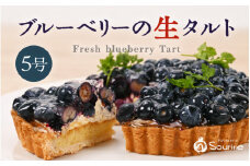 【先行予約】【数量限定】サクサク食感 ブルーベリーのフレッシュタルトケーキ 5号：直径15cm (4〜5人前) 850g 【2026年7月発送】【ブルーベリー ケーキ 生タルト 果物 くだもの ホール たると スイーツ デザート ベリー フルーツケーキ 洋菓子 贈答 ギフト】 [A-5206_07]