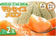 【先行予約】 安心安全！減農薬！こだわり農法で育てたマルセイユメロン 2玉  (1玉あたり：1.3kg以上) 【2026年6月中旬以降順次発送予定】 【メロン めろん 赤肉 フルーツ デザート 果物 くだもの 果実 糖度 甘い 産地直送 国産】 [A-21212]