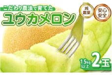 【先行予約】 安心安全！減農薬！こだわり農法で育てた ユウカメロン 2玉  (1玉あたり：1.5kg以上) 【2026年6月中旬以降順次発送予定】 【メロン めろん フルーツ デザート 果物 くだもの 果実 糖度 甘い 産地直送 国産】 [B-21203]