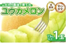 【先行予約】 安心安全！減農薬！こだわり農法で育てた ユウカメロン 1玉 1.5kg以上 【2026年6月中旬以降順次発送予定】 【メロン めろん フルーツ デザート 果物 くだもの 果実 糖度 甘い 産地直送 国産】 [A-21206]