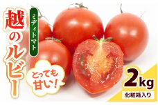 【先行予約】坂井市砂丘地のとっても甘い フルーツトマト 越のルビー 2kg 化粧箱入り【2025年10月上旬以降順次発送予定】【トマト とまと ミディトマト リコピン 豊富 野菜 生野菜 甘い 高糖度  産地直送 ギフト 贈り物 贈答】 [A-19103]