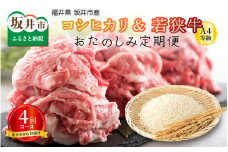 【定期便 4回コース】 坂井市産コシヒカリ 計20kg ＋ 若狭牛切り落とし 計1kg [I-3203]