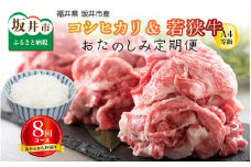 【定期便 8回コース】 坂井市産コシヒカリ 計40kg ＋ 若狭牛切り落とし 計2kg [N-3205]