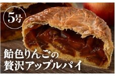 【数量限定】飴色りんごの贅沢アップルパイ 5号ホール：直径15cm (4〜5人前) 850g 【アップルパイ りんご ケーキ 焼き菓子 スイーツ デザート 果物 フルーツケーキ 洋菓子 贈答 ギフト】 [A-5210]