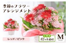 定期便 ≪12ヶ月連続お届け≫ 選べるカラー 季節のフラワーアレンジメント M (レッド・ピンク) 【お花 フラワー アレジメント 花束 ギフト 生花 プレゼント 花束 花 記念日 敬老の日 お祝い】 [L-20701_01] 