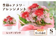 定期便 ≪6ヶ月連続お届け≫ 選べるカラー 季節のフラワーアレンジメント S (レッド・ピンク) 【お花 フラワー アレジメント 花束 ギフト 生花 プレゼント 花束 花 記念日 敬老の日 お祝い】 [D-20701_01] 