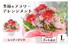 定期便 ≪3ヶ月連続お届け≫ 選べるカラー 季節のフラワーアレンジメント L (レッド・ピンク) 【お花 フラワー アレジメント 花束 ギフト 生花 プレゼント 花束 花 記念日 敬老の日 お祝い】 [E-20701_01] 