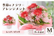 定期便 ≪3ヶ月連続お届け≫ 選べるカラー 季節のフラワーアレンジメント M (レッド・ピンク) 【お花 フラワー アレジメント 花束 ギフト 生花 プレゼント 花束 花 記念日 敬老の日 お祝い】 [C-20701_01] 