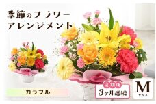 定期便 ≪3ヶ月連続お届け≫ 選べるカラー 季節のフラワーアレンジメント M (カラフル) 【お花 フラワー アレジメント 花束 ギフト 生花 プレゼント 花束 花 記念日 敬老の日 お祝い】 [C-20701_03] 
