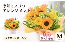 定期便 ≪3ヶ月連続お届け≫ 選べるカラー 季節のフラワーアレンジメント M (イエロー・オレンジ) 【お花 フラワー アレジメント 花束 ギフト 生花 プレゼント 花束 花 記念日 敬老の日 お祝い】 [C-20701_02] 