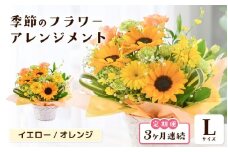 定期便 ≪3ヶ月連続お届け≫ 選べるカラー 季節のフラワーアレンジメント L (イエロー・オレンジ) 【お花 フラワー アレジメント 花束 ギフト 生花 プレゼント 花束 花 記念日 敬老の日 お祝い】 [E-20701_02] 