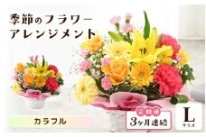 定期便 ≪3ヶ月連続お届け≫ 選べるカラー 季節のフラワーアレンジメント L (カラフル) 【お花 フラワー アレジメント 花束 ギフト 生花 プレゼント 花束 花 記念日 敬老の日 お祝い】 [E-20701_03] 