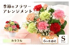 定期便 ≪6ヶ月連続お届け≫ 選べるカラー 季節のフラワーアレンジメント S (カラフル) 【お花 フラワー アレジメント 花束 ギフト 生花 プレゼント 花束 花 記念日 敬老の日 お祝い】 [D-20701_03] 