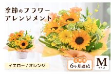 定期便 ≪6ヶ月連続お届け≫ 選べるカラー 季節のフラワーアレンジメント M (イエロー・オレンジ)【お花 フラワー アレジメント 花束 ギフト 生花 プレゼント 花束 花 記念日 敬老の日 お祝い】 [G-20701_02] 