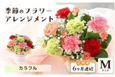定期便 ≪6ヶ月連続お届け≫ 選べるカラー 季節のフラワーアレンジメント M (カラフル)【お花 フラワー アレジメント 花束 ギフト 生花 プレゼント 花束 花 記念日 敬老の日 お祝い】 [G-20701_03] 