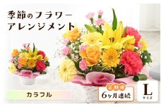 定期便 ≪6ヶ月連続お届け≫ 選べるカラー 季節のフラワーアレンジメント L (カラフル) 【お花 フラワー アレジメント 花束 ギフト 生花 プレゼント 花束 花 記念日 敬老の日 お祝い】 [J-20701_03]