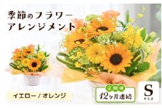 定期便 ≪12ヶ月連続お届け≫ 選べるカラー 季節のフラワーアレンジメント S (イエロー・オレンジ) 【お花 フラワー アレジメント 花束 ギフト 生花 プレゼント 花束 花 記念日 敬老の日 お祝い】 [I-20701_02]