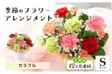 定期便 ≪12ヶ月連続お届け≫ 選べるカラー 季節のフラワーアレンジメント S (カラフル) 【お花 フラワー アレジメント 花束 ギフト 生花 プレゼント 花束 花 記念日 敬老の日 お祝い】 [I-20701_03]