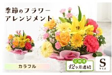 定期便 ≪12ヶ月連続お届け≫ 選べるカラー 季節のフラワーアレンジメント S (カラフル) 【お花 フラワー アレジメント 花束 ギフト 生花 プレゼント 花束 花 記念日 敬老の日 お祝い】 [I-20701_03]