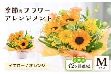 定期便 ≪12ヶ月連続お届け≫ 選べるカラー 季節のフラワーアレンジメント M (イエロー・オレンジ) 【お花 フラワー アレジメント 花束 ギフト 生花 プレゼント 花束 花 記念日 敬老の日 お祝い】 [L-20701_02] 