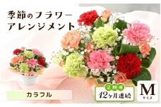 定期便 ≪12ヶ月連続お届け≫ 選べるカラー 季節のフラワーアレンジメント M (カラフル) 【お花 フラワー アレジメント 花束 ギフト 生花 プレゼント 花束 花 記念日 敬老の日 お祝い】 [L-20701_03] 