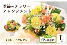 定期便 ≪12ヶ月連続お届け≫ 選べるカラー 季節のフラワーアレンジメント L (イエロー・オレンジ) 【お花 フラワー アレジメント 花束 ギフト 生花 プレゼント 花束 花 記念日 敬老の日 お祝い】 [O-20701_02] 