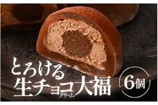 とろける生チョコ クリーム大福 6個入り 【チョコ菓子 和菓子 餅菓子 スイーツ チョコクリーム チョコレート クーベルチュールチョコレート 生チョコレート 大福 スイーツ お菓子 濃厚 冷凍】 [A-12846]