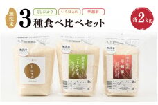 【先行予約】【令和7年産・新米】 福井産無洗米いちほまれ・こしひかり・華越前各2kgセット 【2025年10月以降順次発送予定】【 無洗米 人気 品種 ブランド米 特A 】 [C-6109]
