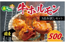 国産牛ホルモン3品 お試しセット 約500g 焼肉  味付け 肉 BBQ バーベキュー もつ ホルモン 国産 小分け おつまみ 冷凍 アウトドア 永平寺町 人気  [B-019001]　